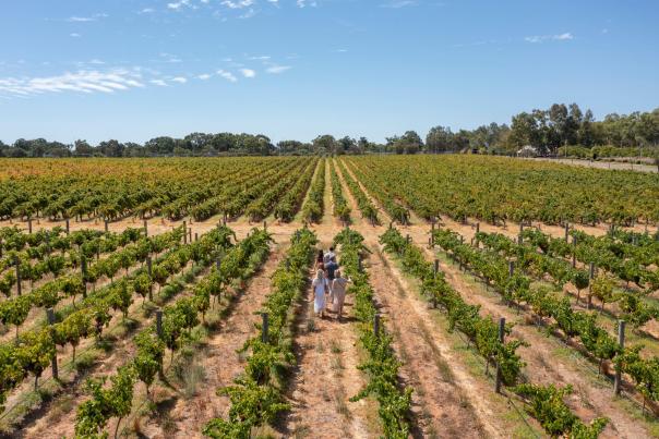 Sandalford Winery, Swan Valley