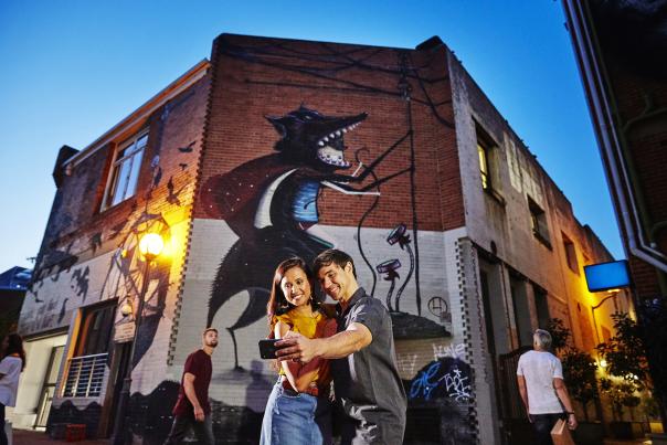 Wolf Lane, Perth