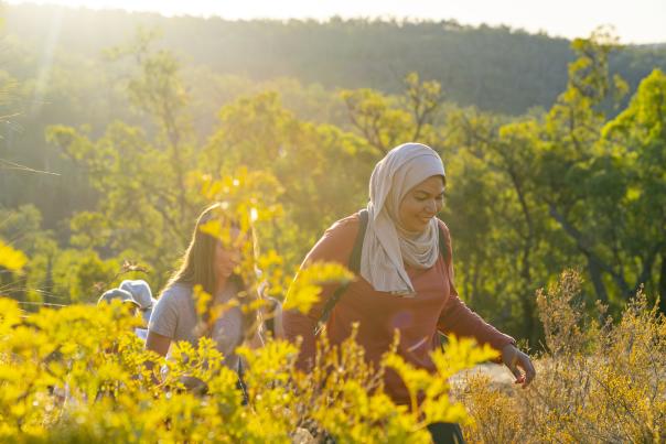 Hiking through wildflowers near Mundaring with The Hike Collective, Perth Hills