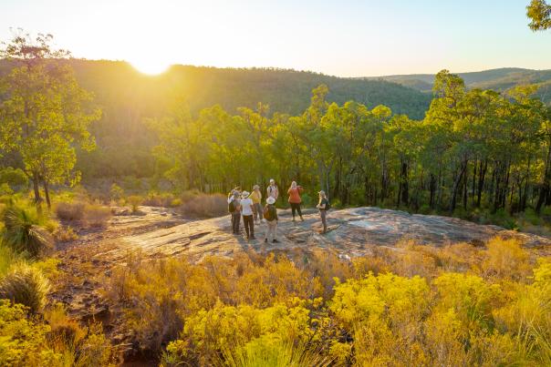 Hiking near Mundaring with The Hike Collective, Perth Hills