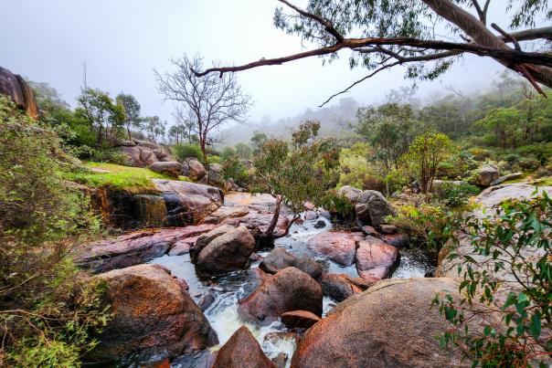 Down Under Discoveries Wellness Experience in the Perth Hills