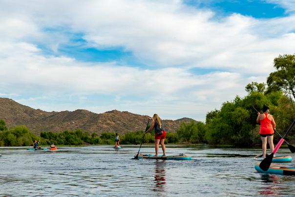 Paddleboarders on the Salt River