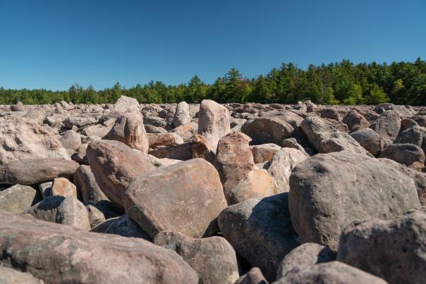 A view of Boulder Field at Hickory Run State Park