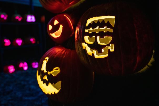 Grinning pumpkins at The Electrifying Jack O'Lanter Experience