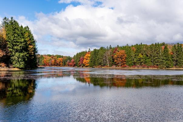 A beautiful autumn view of Promised Land State Park