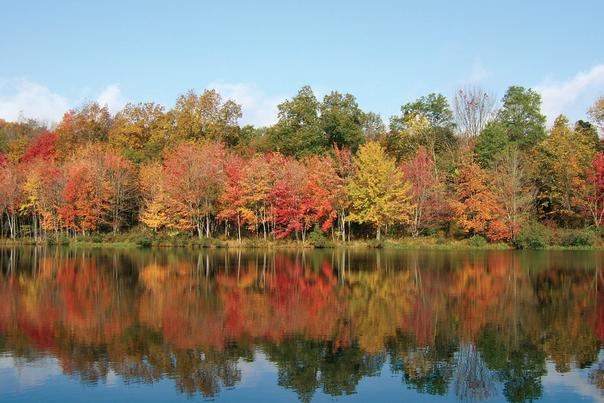 Fall Foliage at PEEC in the Pocono Mountains