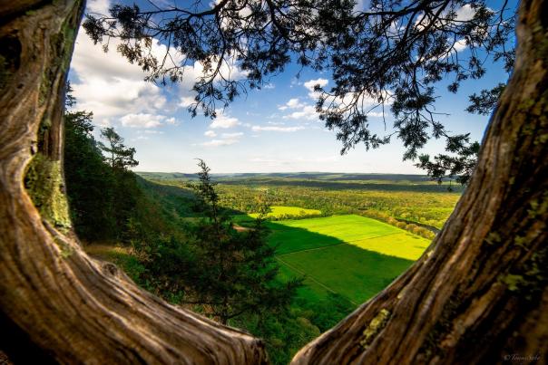 A scenic view from the Cliff Trail in Delaware Water Gap National Recreation Area.