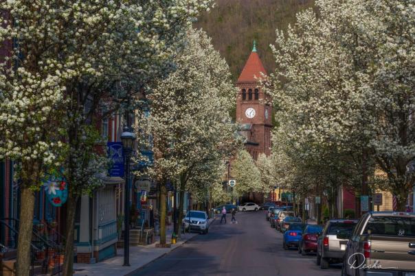 Beautiful flowering trees line the streets of Jim Thorpe every spring.