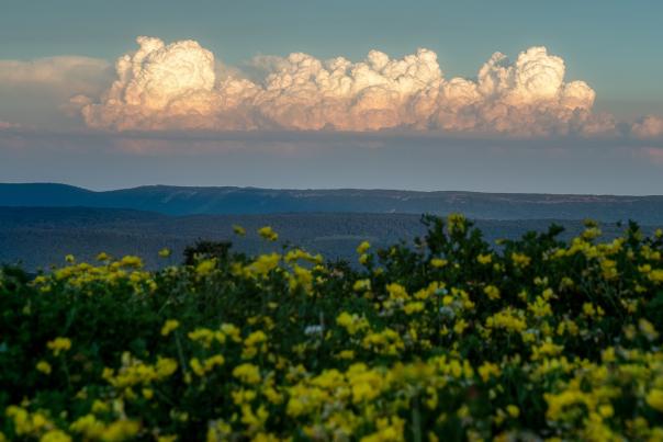 A panoramic view of the Pocono Mountains from Penn's Peak.