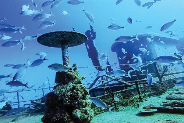 Lady Luck Shipwreck