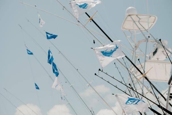 A row of fish flags flying behind boats
