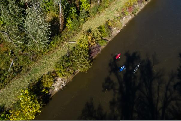 Overhead view of a natural riverbank with three kayakers paddling along the edge of the water. The boats, colored red, blue, and black, contrast against the dark water, while tree shadows create intricate patterns on the river’s surface. The shoreline is lined with dense greenery and patches of grass.