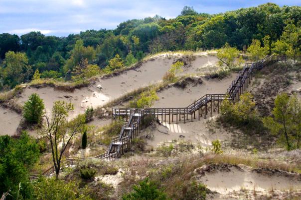 A wooded boardwalk snakes up a sand dune. Vegetation sits atop the dune.