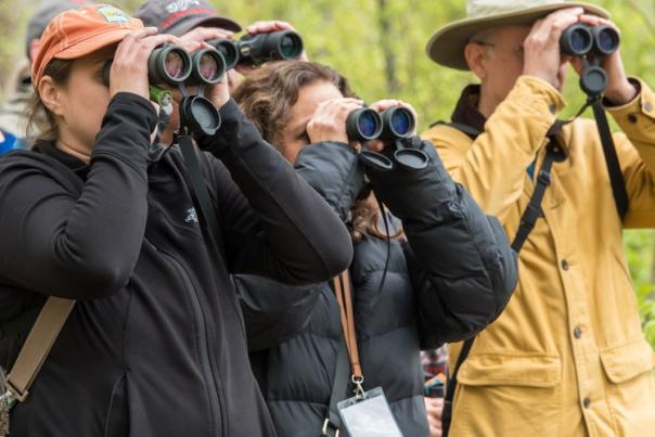 Birders at Cowles Bog