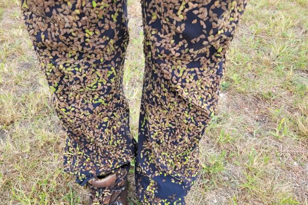 Tick Trefoil seeds completely cover a person's pants