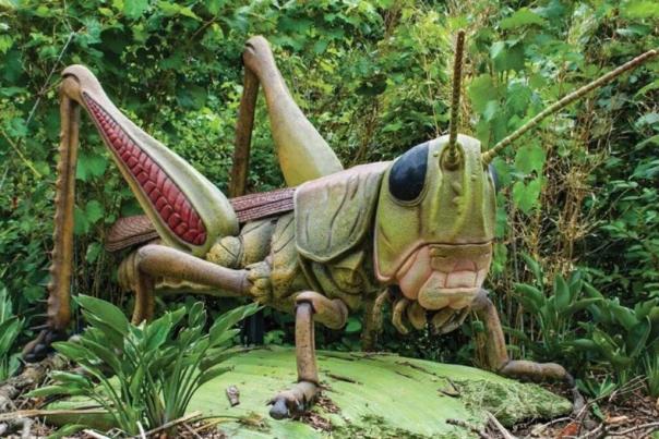 RWP Zoo - A Bug's World grasshopper