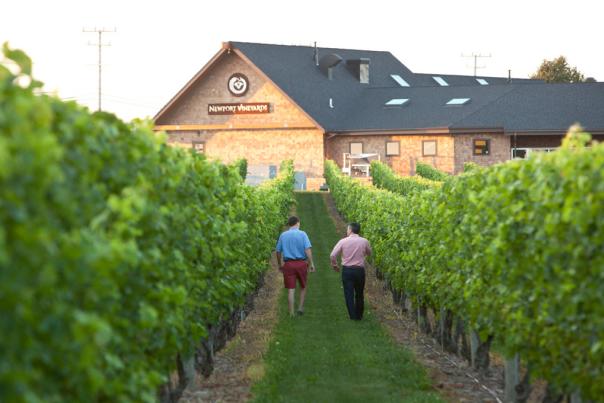Newport Vineyards