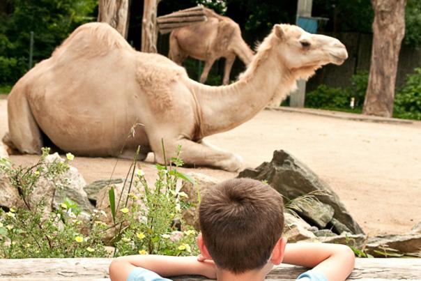 Roger Williams Park Zoo