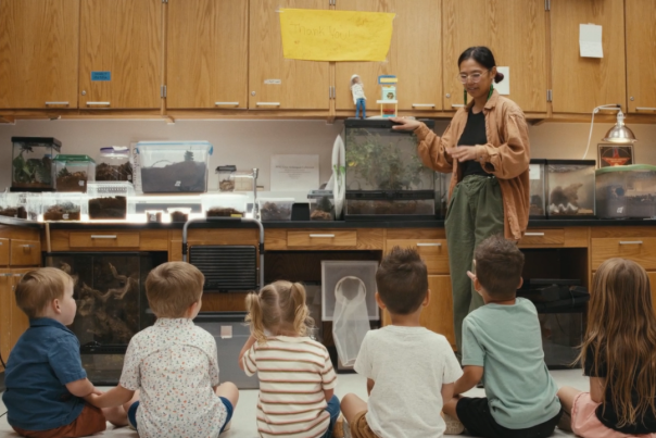 This is Pullman Bug Video