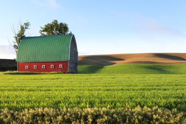 Barn on the Palouse