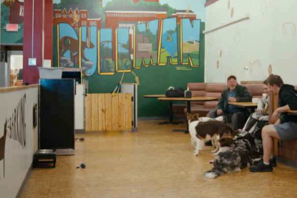 Pups & Cups Indoor Photo