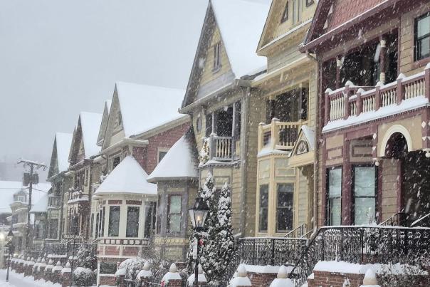 snowy occoquan