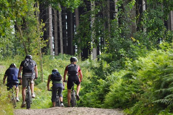 Group biking on gravel trail through park forest