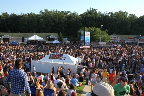 A crowd of people at a concert venue