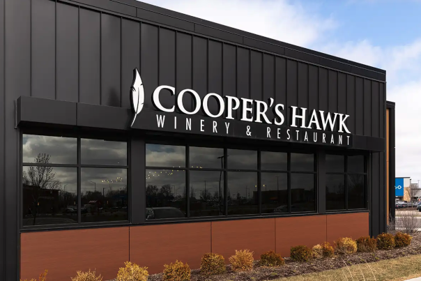 Cooper's Hawk