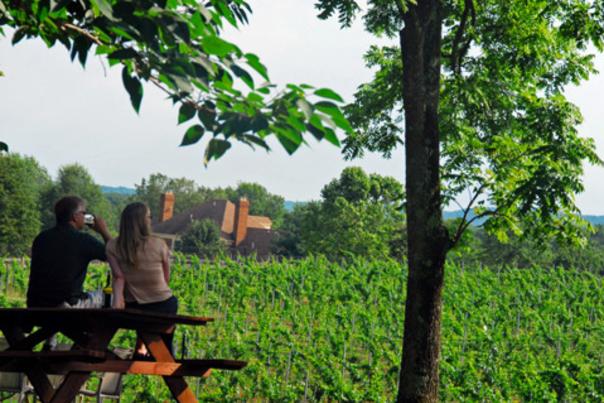 Couple overlooking Winery at La Grange vineyards