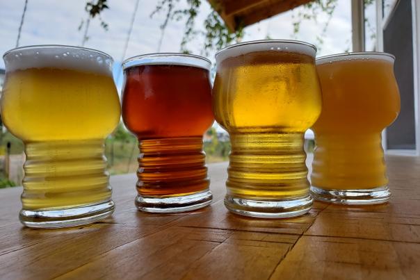 glasses of beer