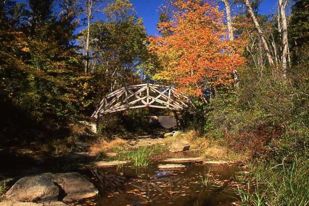 bridge over a creek