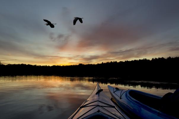 kayaking on the river with 2 birds flying overhead at sunset