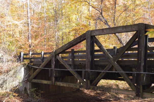 scenic road trip in the fall - Prince William Forest Park