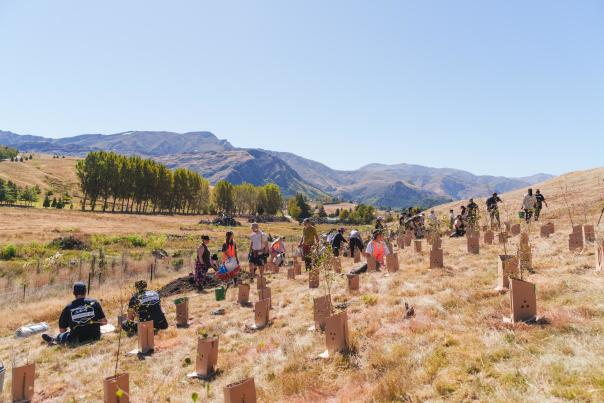Planting Day with Love Queenstown at Slope Point, Lake Hayes. Sunny blue skies with mountains in background.