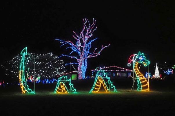 Wonderland of Lights Racine Zoo