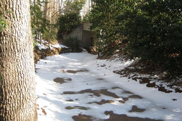 North Carolina Zoo to remain closed through Sunday