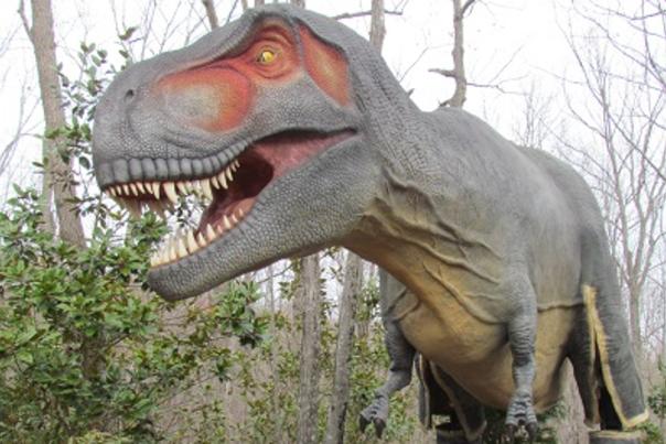 North Carolina Zoo ready to launch summer hours