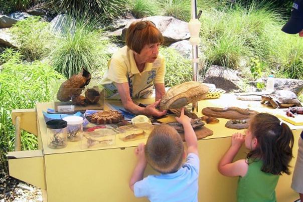 Experience the Magic of Volunteering at the North Carolina Zoo