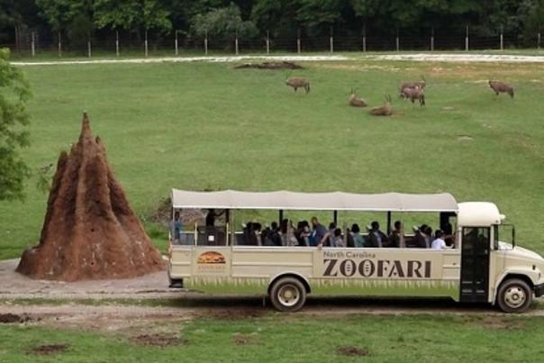 North Carolina Zoo adds attractions to lure people back