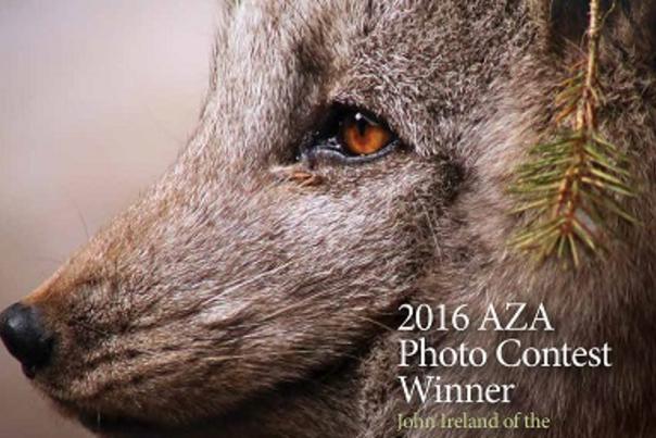 North Carolina Zoos John Ireland Wins Prestigious Photo Competition
