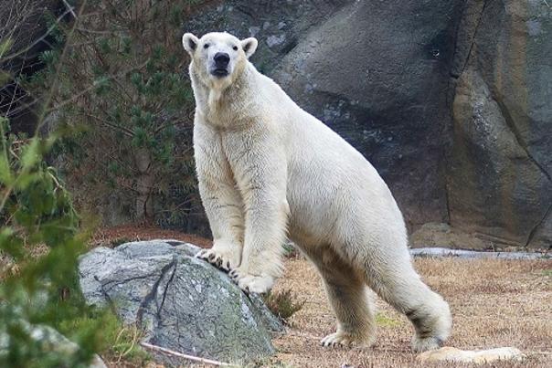 Share Your Love of the NC Zoo by Sharing Your Favorite Zoo Photos