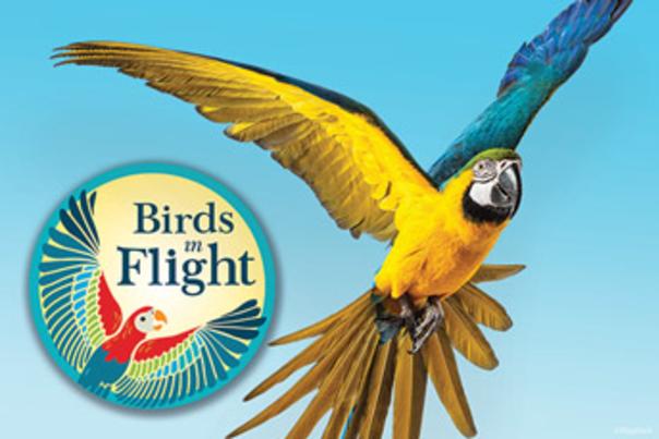 The North Carolina Zoo Announces Birds in Flight, a New Attraction for 2018