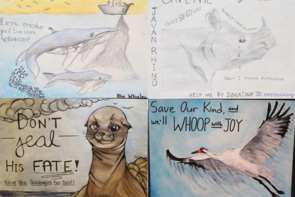 North Carolina Zoo Announces Endangered Species Poster Contest Winners
