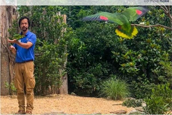 North Carolina Zoo: Insider Secrets and Tips for the Best Visit