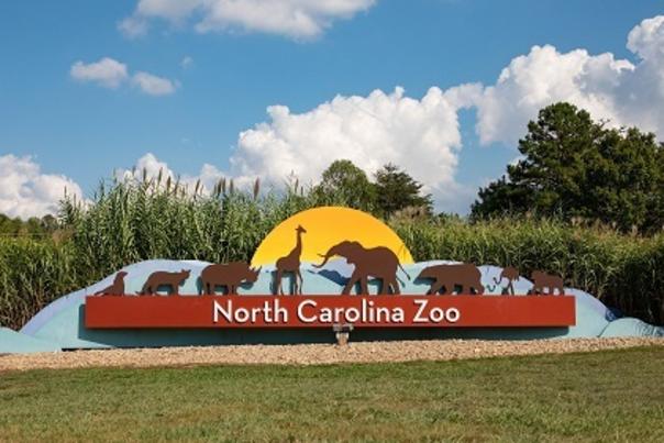 North Carolina Zoo Offers Half-Price Admission for Hurricane Dorian Evacuees