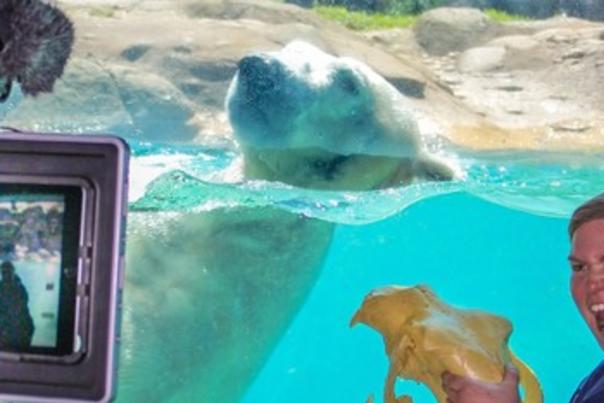 North Carolina Zoo Offers Virtual Summer Camps | Registration Now Open