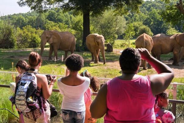 North Carolina Zoo Announces Record-Breaking Attendance of 1 Million Visitors