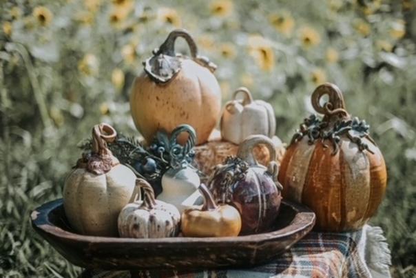 Potters Pumpkin Patch Trail in Seagrove