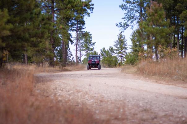The Best Black Hills ATV Trails Near Rapid City, SD